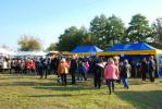 Zdjęcie DSC_0029.jpg