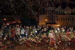 Zdjęcie DSC_0121.jpg