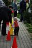 Zdjęcie DSC_2432.jpg