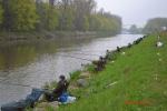 Zdjęcie dobre miasto2013 rok 397.jpg