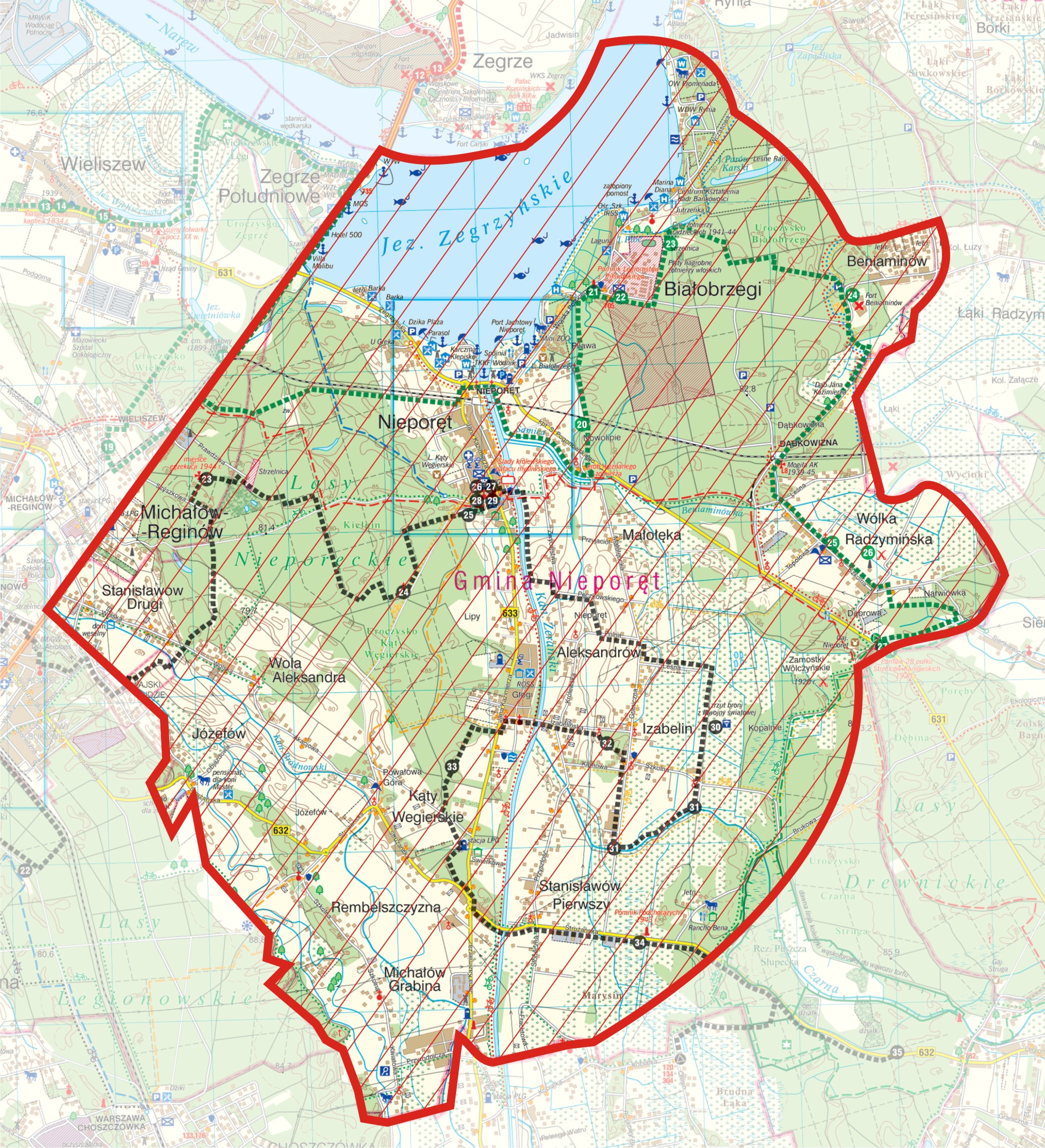 wscieklizna_mapa